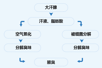 导致腋臭的原因有什么